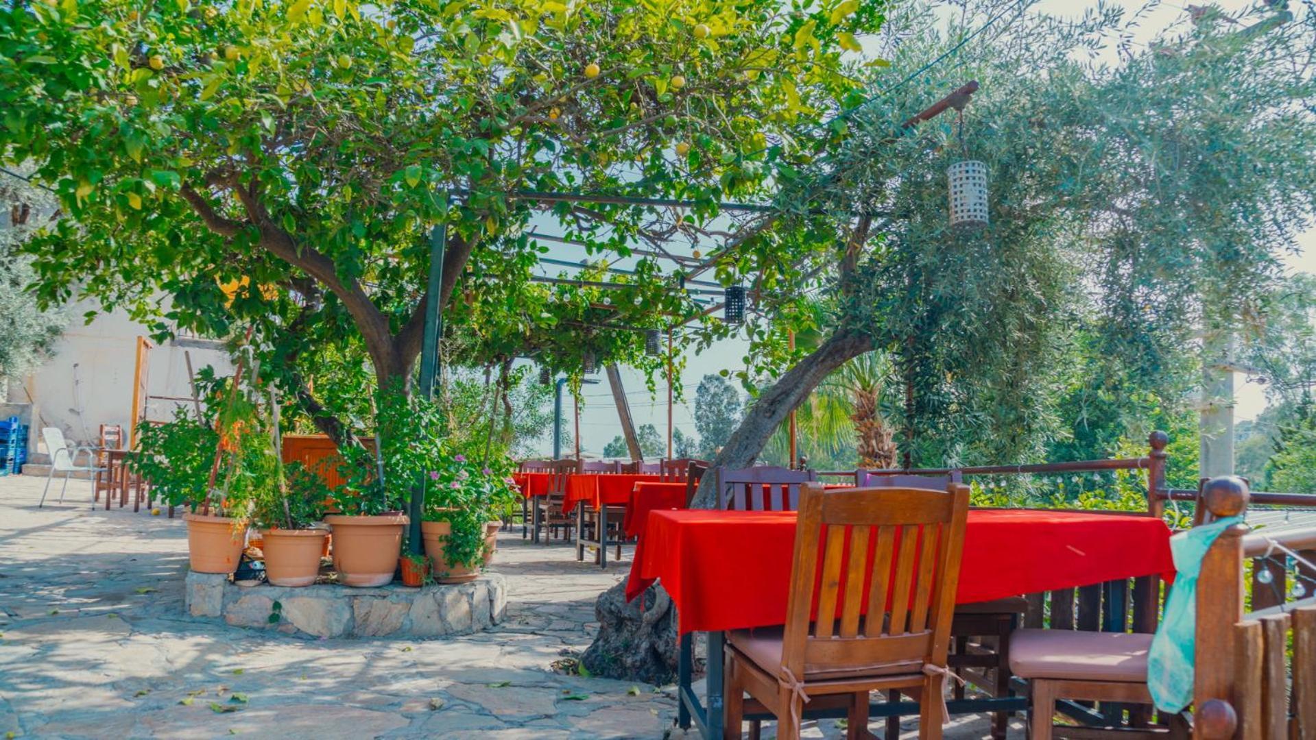 St. Nicholas Pension Patara Exterior photo